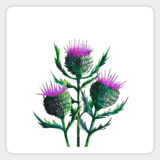 Thistles Watercolour Painting Magnet